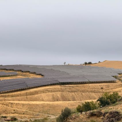 Rinnovabili • Transizione energetica, RWE inaugura l’impianto agrivoltaico avanzato di Enna ed accoglie il territorio ai Rinnovamente Days