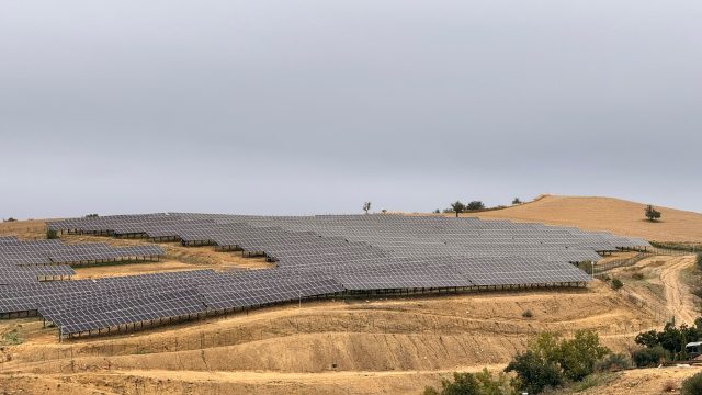 Rinnovabili • Transizione energetica, RWE inaugura l’impianto agrivoltaico avanzato di Enna ed accoglie il territorio ai Rinnovamente Days