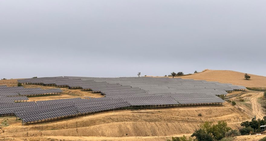 Rinnovabili • Transizione energetica, RWE inaugura l’impianto agrivoltaico avanzato di Enna ed accoglie il territorio ai Rinnovamente Days