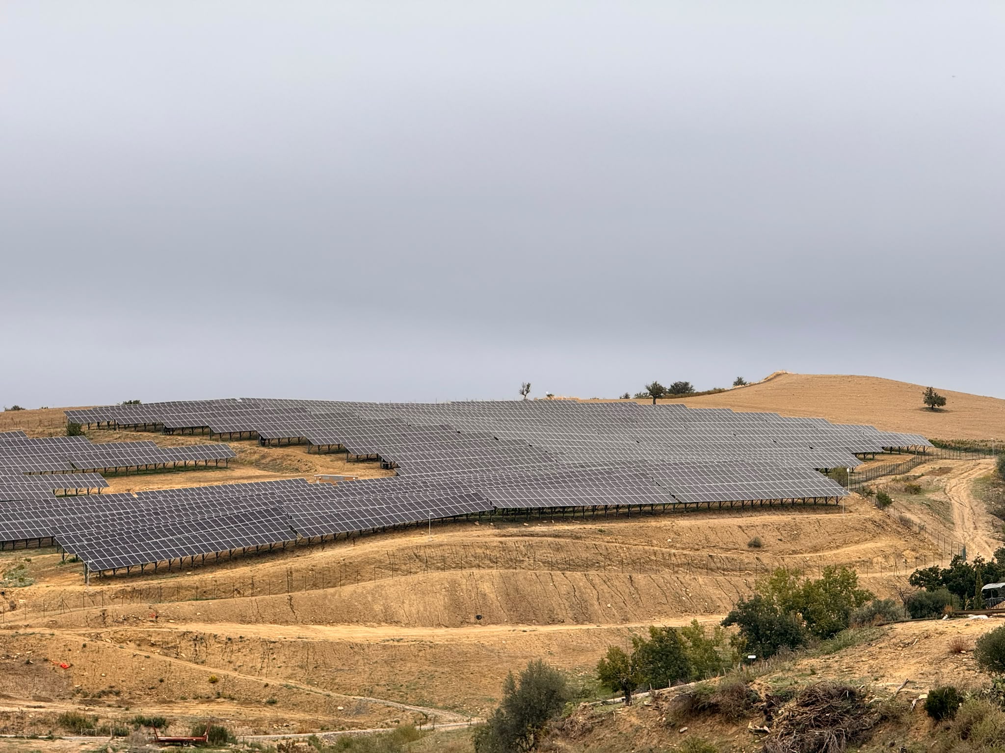 Rinnovabili • Transizione energetica, RWE inaugura l’impianto agrivoltaico avanzato di Enna ed accoglie il territorio ai Rinnovamente Days