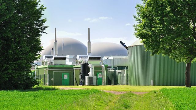 Rinnovabili • Bioenergia e Decarbonizzazione: risultati e visioni per il futuro dal mondo della ricerca 