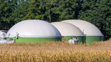 Rinnovabili • Bioenergie e Decarbonizzazione: a Roma una giornata per fare il punto sulla ricerca