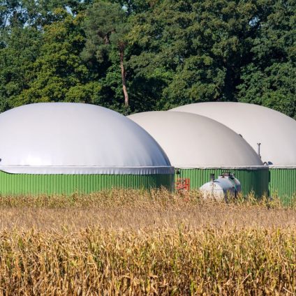 Rinnovabili • Bioenergie e Decarbonizzazione: a Roma una giornata per fare il punto sulla ricerca