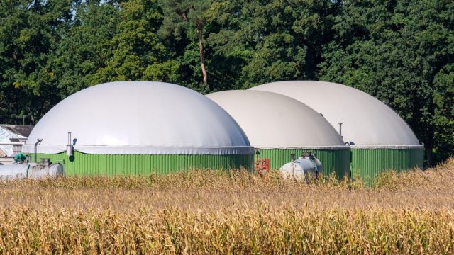 Rinnovabili • Bioenergie e Decarbonizzazione: a Roma una giornata per fare il punto sulla ricerca
