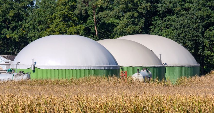 Rinnovabili • Bioenergie e Decarbonizzazione: a Roma una giornata per fare il punto sulla ricerca