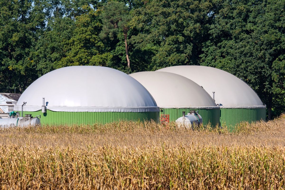 Bioenergie e Decarbonizzazione: a Roma una giornata per fare il punto sulla ricerca