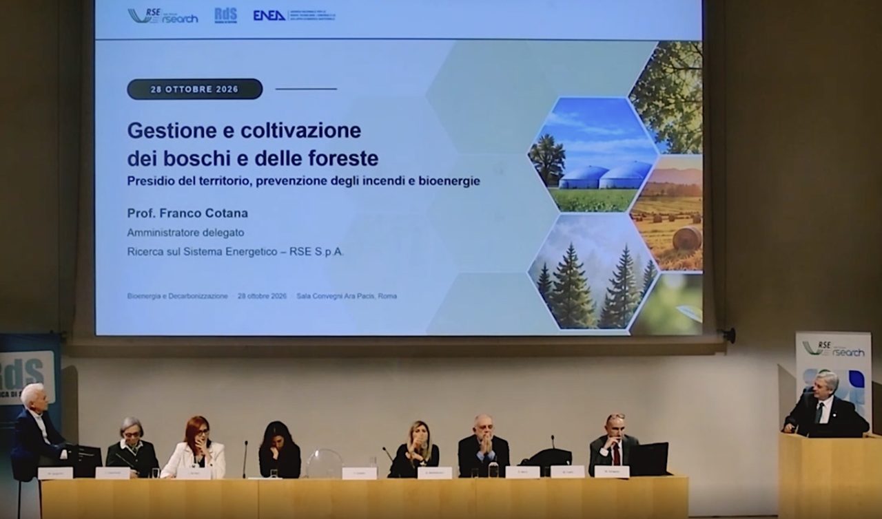 Rinnovabili • Bioenergie, RSE: in Italia 7 mln di tonnellate di biomassa disponibili l'anno. Resta il nodo degli incentivi