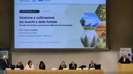 Rinnovabili • Bioenergie, RSE: in Italia 7 mln di tonnellate di biomassa disponibili l'anno. Resta il nodo degli incentivi