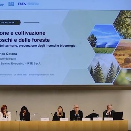 Rinnovabili • Bioenergie, RSE: in Italia 7 mln di tonnellate di biomassa disponibili l'anno. Resta il nodo degli incentivi