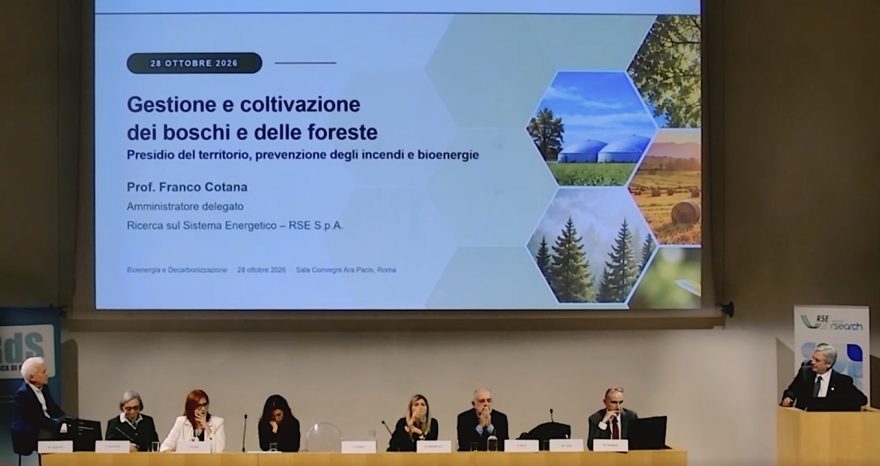 Rinnovabili • Bioenergie, RSE: in Italia 7 mln di tonnellate di biomassa disponibili l'anno. Resta il nodo degli incentivi