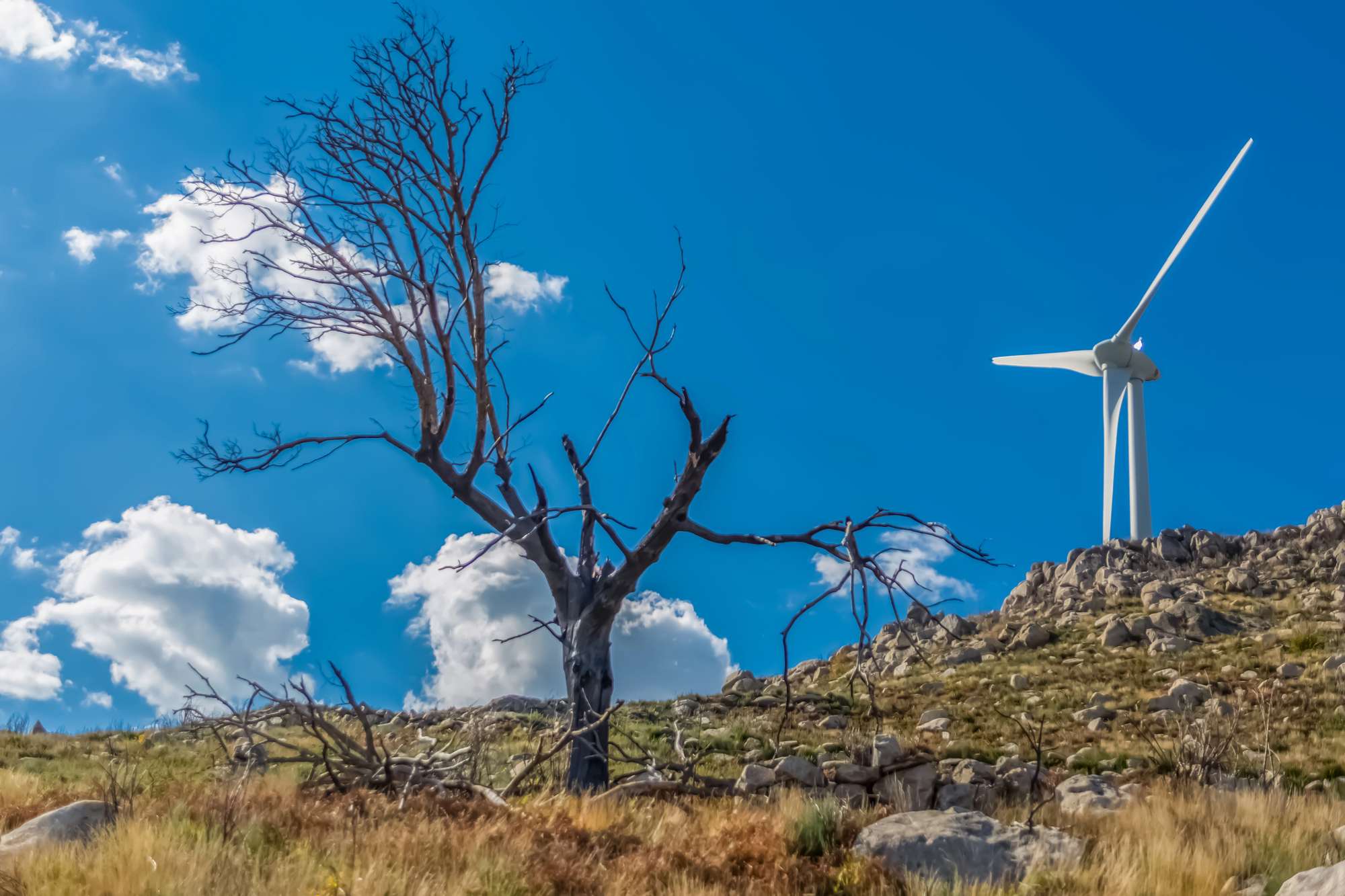 WoodMac: EU Will Miss 2030 Renewable Energy Targets
