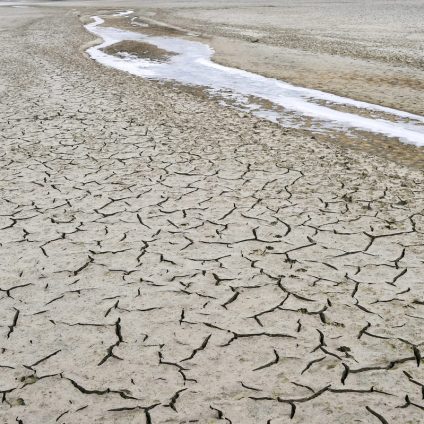 Rinnovabili • Lo stress idrico metterà a repentaglio la produzione di idrogeno europeo?